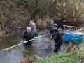 Foto: Udsætningsforeningen Vestsjælland 95