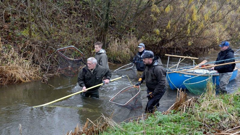 Foto: Udsætningsforeningen Vestsjælland 95