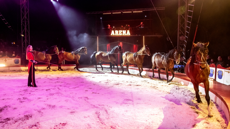 Foto: Cirkus Arena