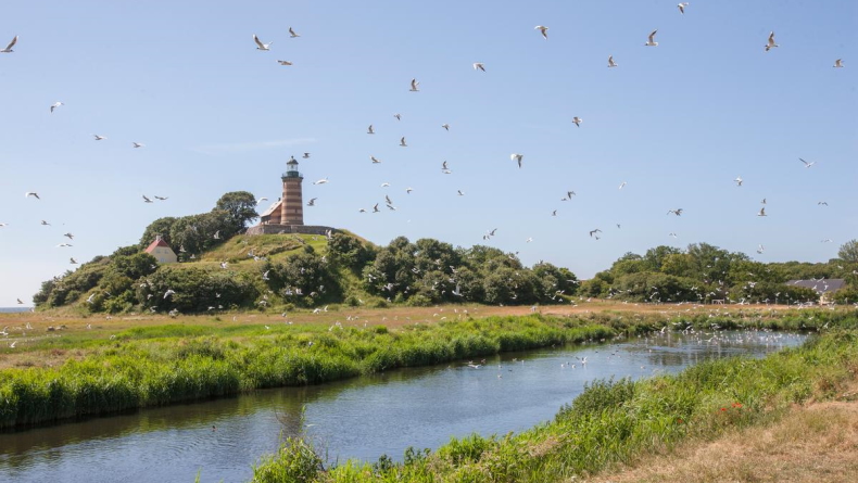 Foto: Sund & Bælt