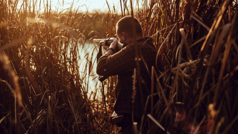 Foto: Little Honey / iStock