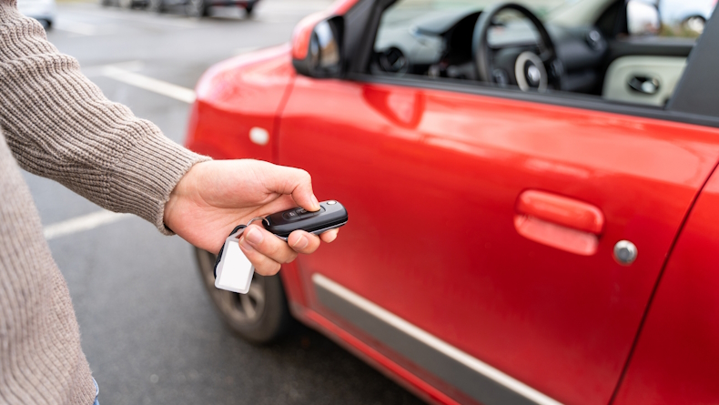 Foto: Paul Gulea / iStock