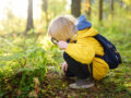 Foto: SbytovaMN / iStock
